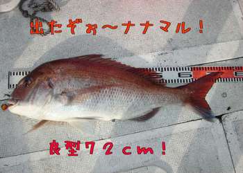 img_20130408-160929.jpg