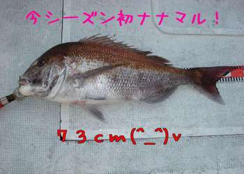img_20130408-161010.jpg