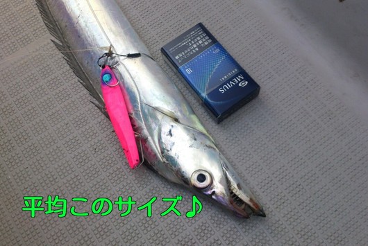 img_20131206-103318.jpg