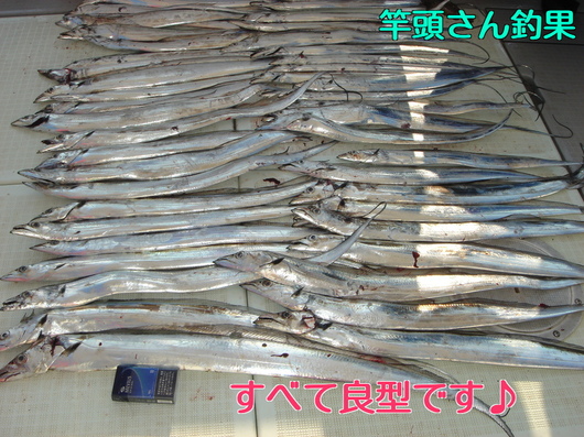 img_20131206-103411.jpg