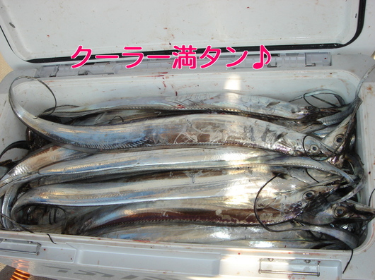 img_20131206-103443.jpg