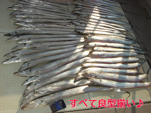 img_20131206-103859.jpg