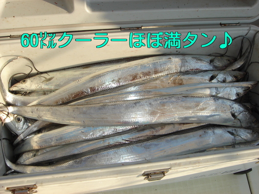 img_20131206-103920.jpg