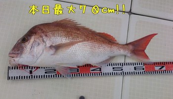 img_20140208-092138.jpg