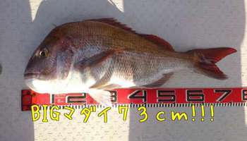 img_20140208-092321.jpg