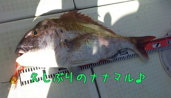 img_20140208-092739.jpg