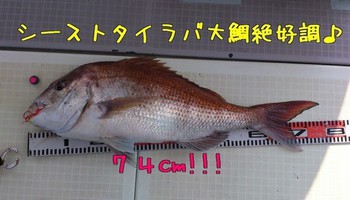 img_20140208-092946.jpg