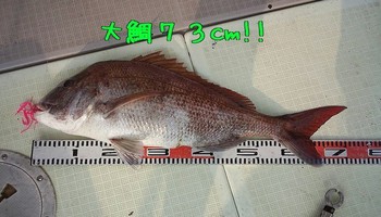 img_20140208-093133.jpg