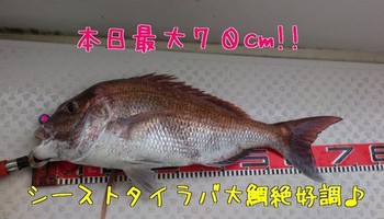 img_20140208-093656.jpg