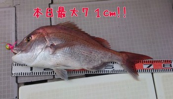 img_20140208-093851.jpg