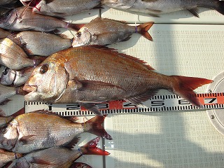 img_20140330-111023.jpg