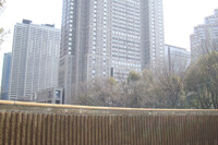 img_20210225-193721.jpg