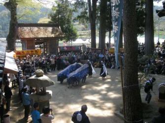 img_20120404-210554.jpg