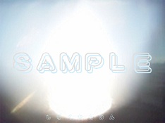 img_20120211-160549.jpg