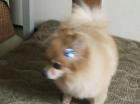 img_20120302-114051.jpg