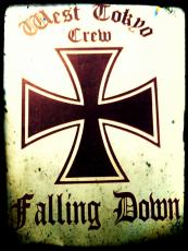 FALLINGDOWN.jpg
