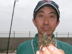 イソクズガ二 イソクズガ二