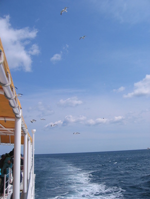 img_20130502-194631.jpg
