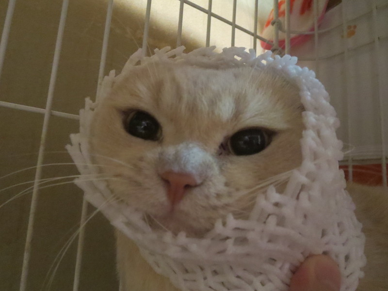 ももももももももも☆