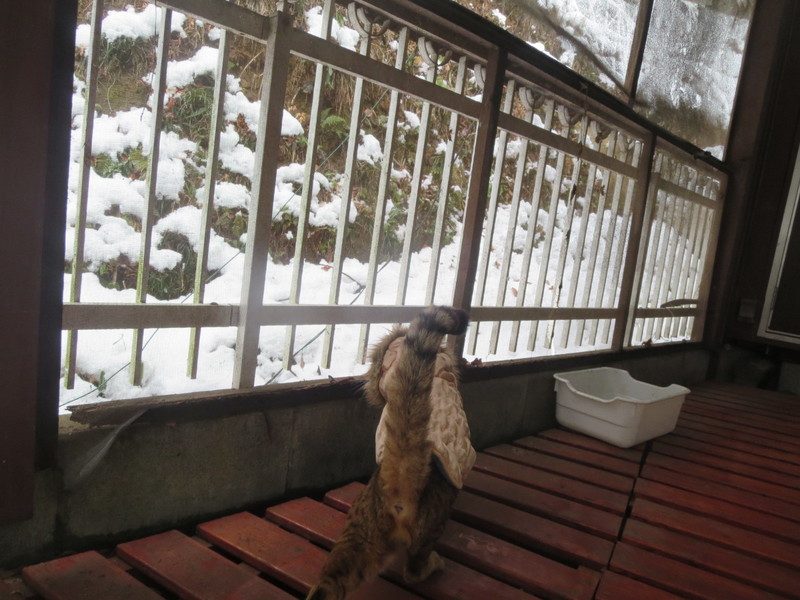 積雪☆2