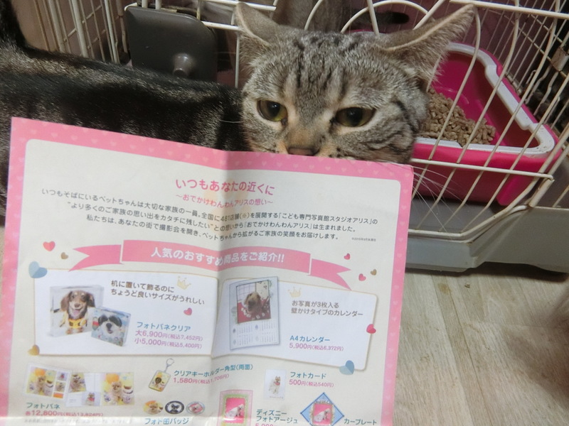 おでかけ前☆