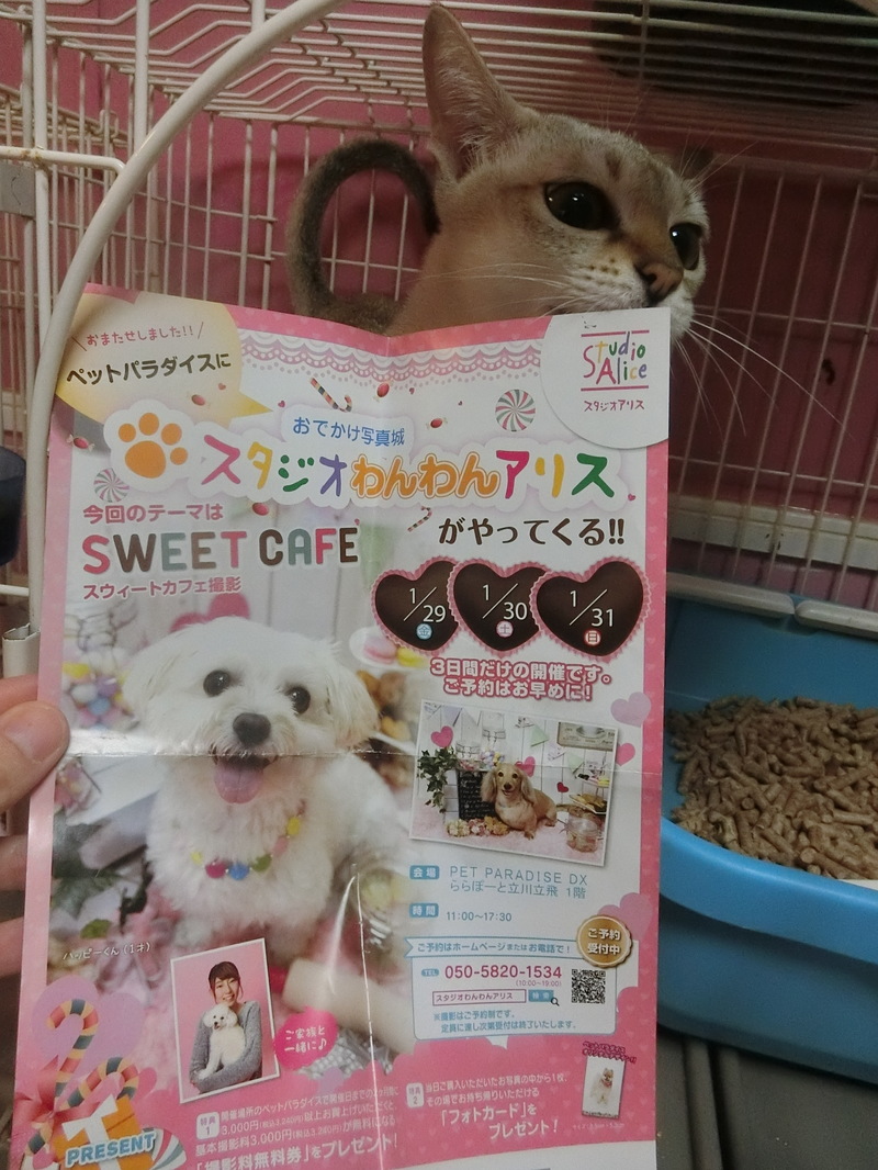 おでかけ前☆