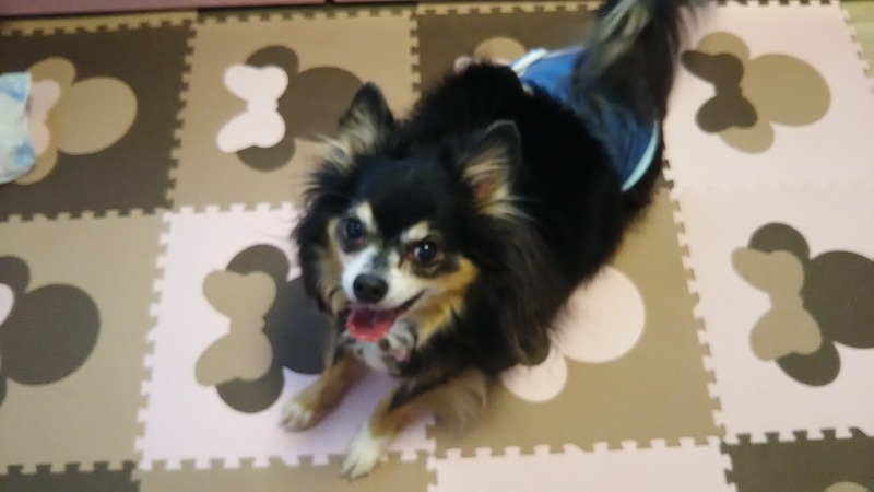 おでかけ前☆