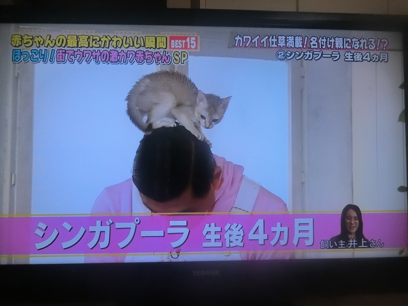 TV出演☆2
