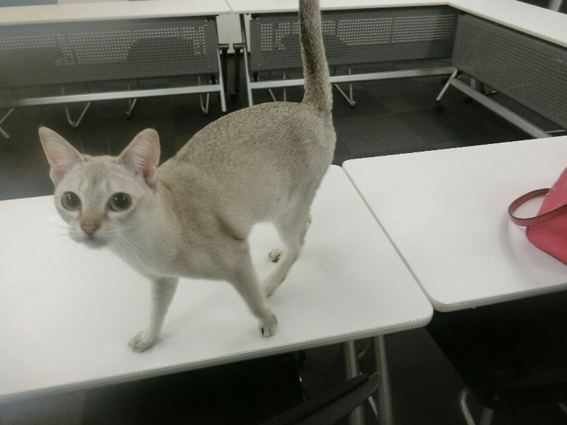 TV撮影 ロケ