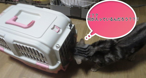 img_20140410-155129.jpg