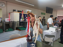 img_20161018-131232.jpg