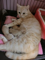 img_20170615-154947.jpg