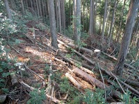 img_20131228-170333.jpg