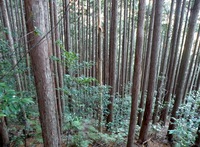 img_20140103-170403.jpg