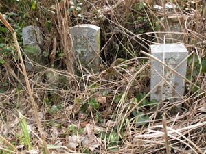 img_20160815-112717.jpg