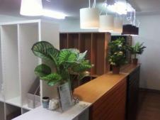 img_20130401-014944.jpg