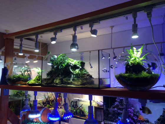 img_20181030-043751.jpg