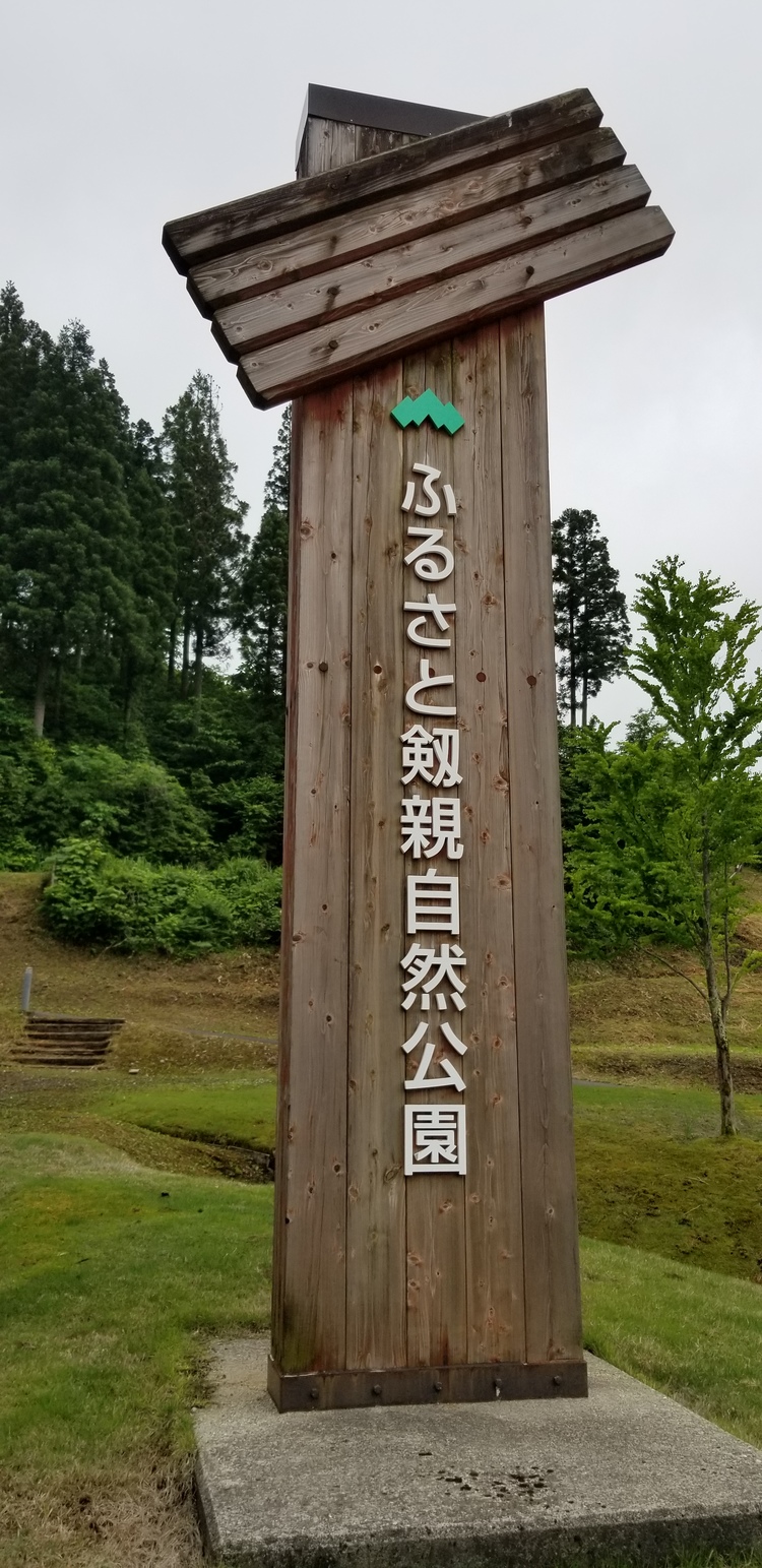img_20190611-035008.jpg