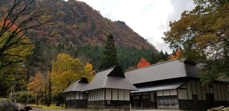img_20201110-091733.jpg