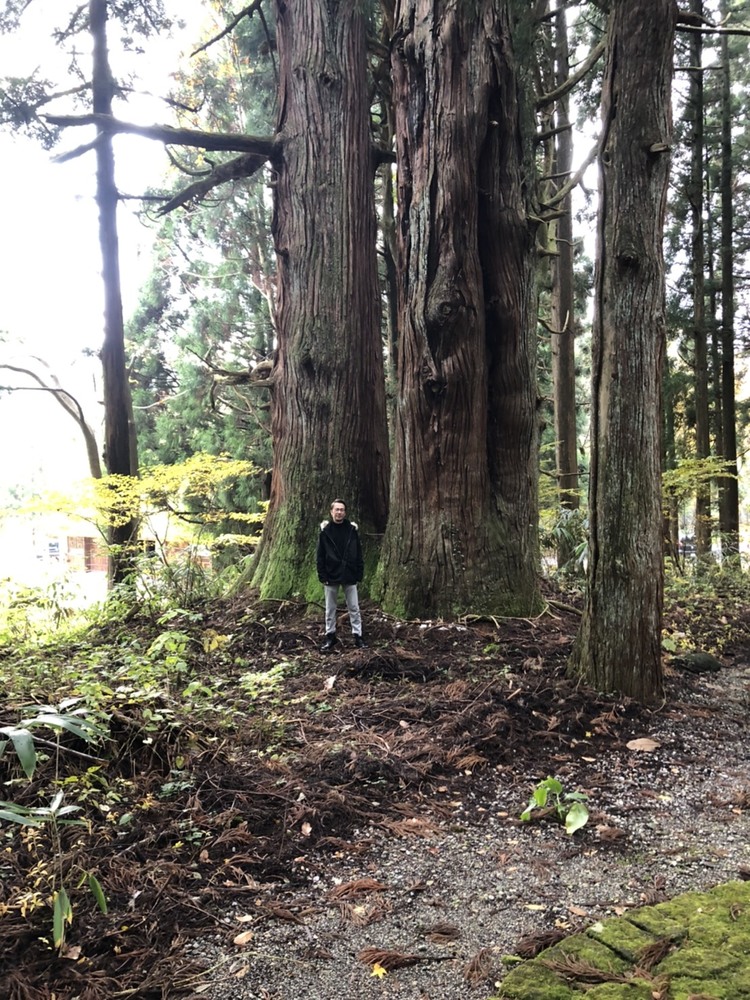 img_20201110-091818.jpg