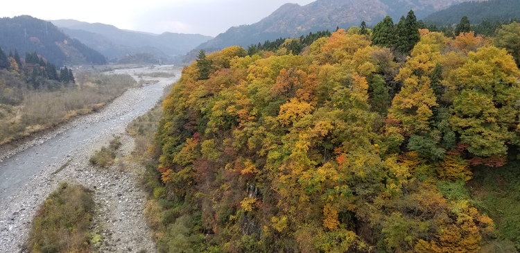 img_20201110-091904.jpg