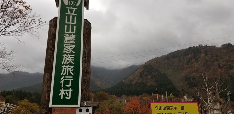 img_20201110-091954.jpg