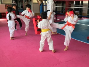 img_20170325-235716.jpg