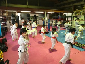 img_20170519-223802.jpg