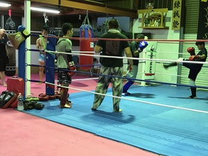 img_20170629-225747.jpg