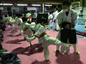 img_20180124-215056.jpg