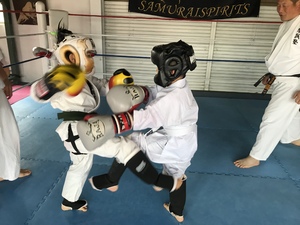 img_20180224-231706.jpg