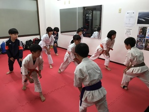 img_20180305-225844.jpg