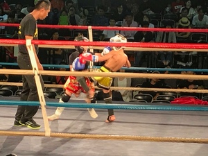 img_20180715-120740.jpg