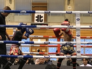 img_20181104-105502.jpg